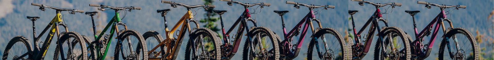 Guitar display banner